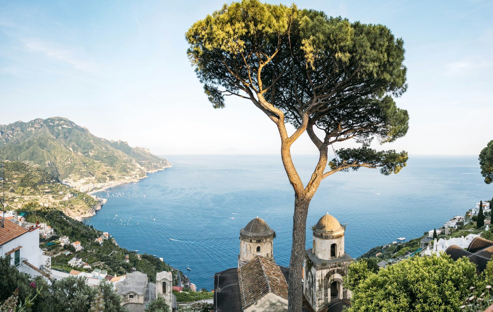 A stone pine above the Amalfi Coast at Ravello